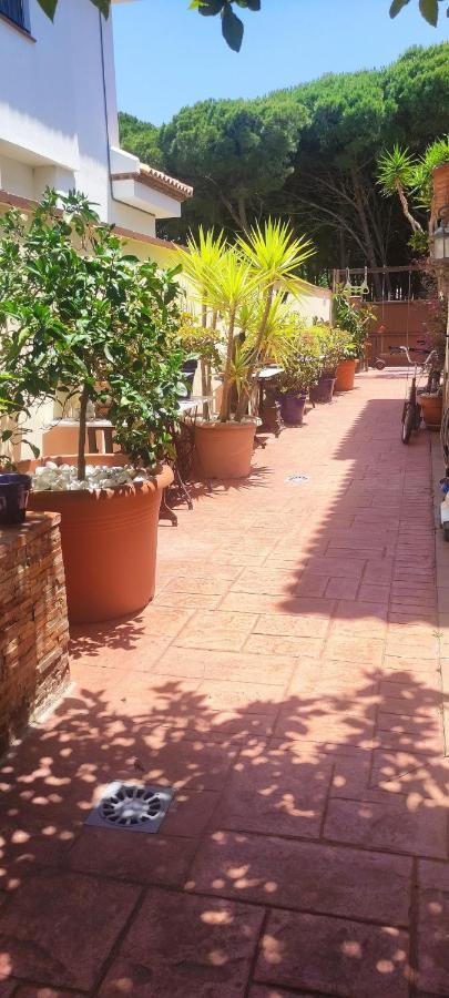 Chalet Con Capacidad Para 8 Personas Chiclana de la Frontera Eksteriør billede